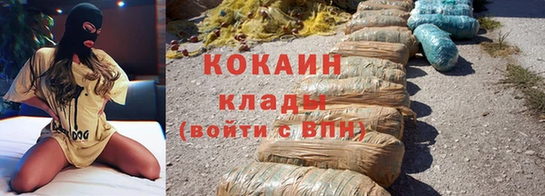стаф Арсеньев