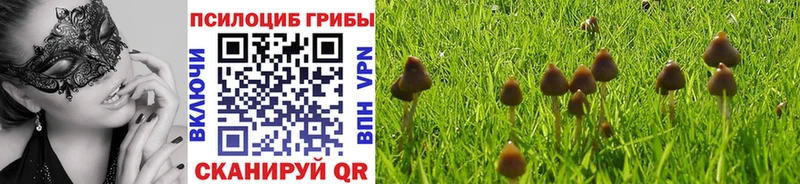 Псилоцибиновые грибы прущие грибы Сковородино